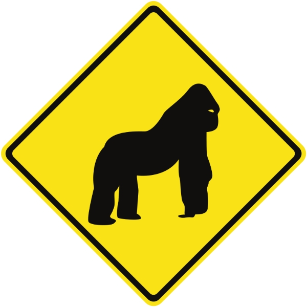 23c06bdf5c02e208554f619d5b75d648