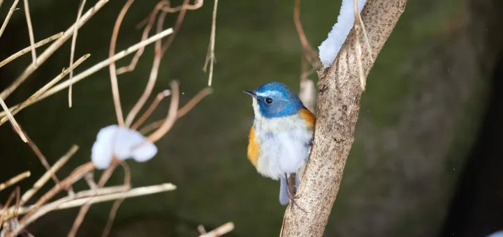 3881 6924 1710 54 2 e14 2201 2048x1365 Free image