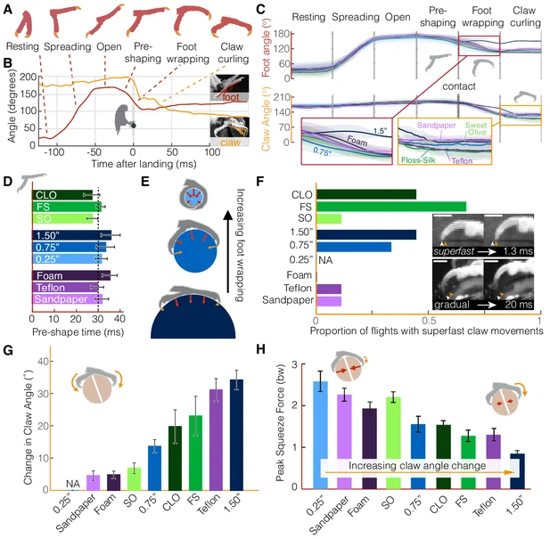 lax 46415 elife 46415 fig3 v1 tif