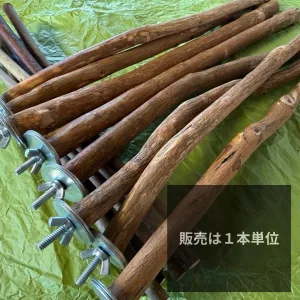 天然ドラゴンウッドとまり木 BirdARCADIA