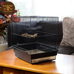 BirdARCADIAの天然木止まり木とエンリッチメント用品|安全なハンドメイド製品