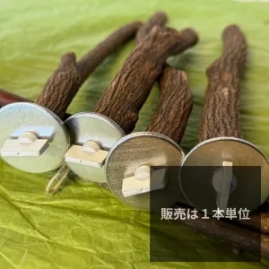 天然ドラゴンウッドとまり木 BirdARCADIA