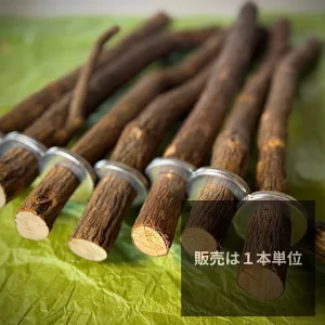 天然ドラゴンウッドとまり木 BirdARCADIA