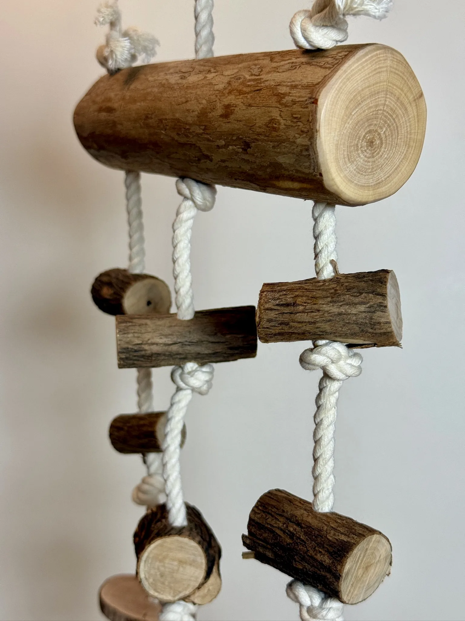 Dragonwood Enrichment Hanging