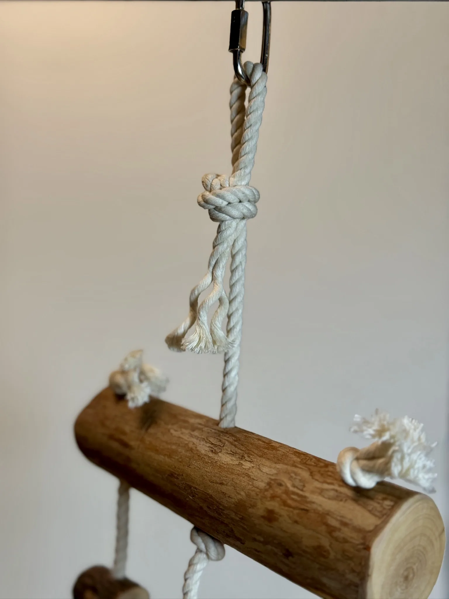 Dragonwood Enrichment Hanging