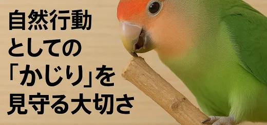インコが木の枝をかじっている様子