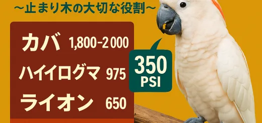 オウムのライオン級バイト力
