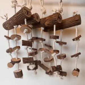 Dragonwood Enrichment Hanger