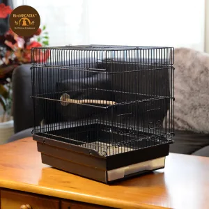 BirdARCADIAの天然木止まり木とエンリッチメント用品|安全なハンドメイド製品