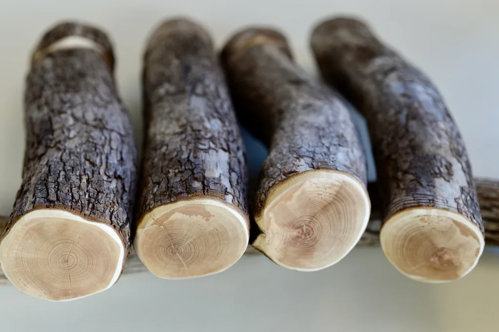 太さ5cm以上の天然ドラゴンウッド製・特太XLサイズ止まり木。大型オウムやインコの足裏にやさしいケージ用パーチ。