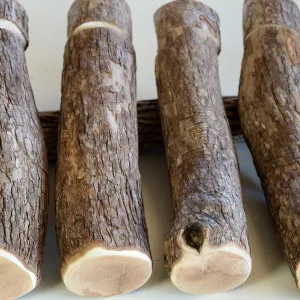 太さ5cm以上の天然ドラゴンウッド製・特太XLサイズ止まり木。大型オウムやインコの足裏にやさしいケージ用パーチ。