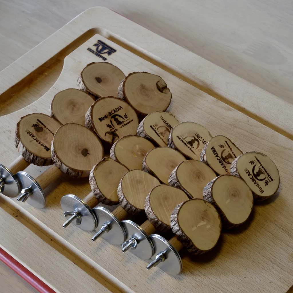 ドラゴンウッドを使用した平らな止まり木