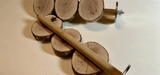 小型インコ用 ドラゴンウッド製 フラット止まり木｜BirdARCADIA™