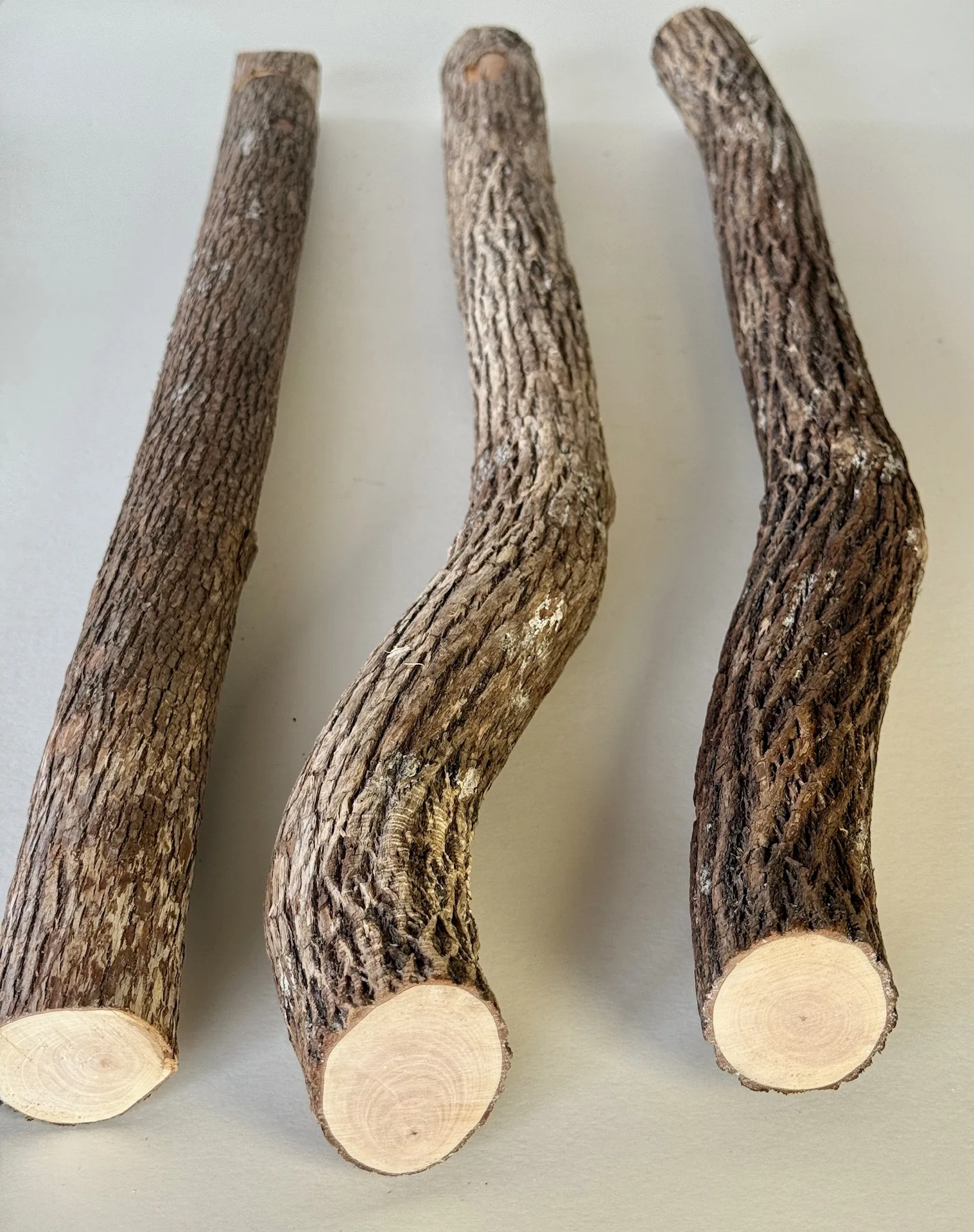 大型インコ用 天然木 樹皮付き 止まり木 ドラゴンウッド （太め