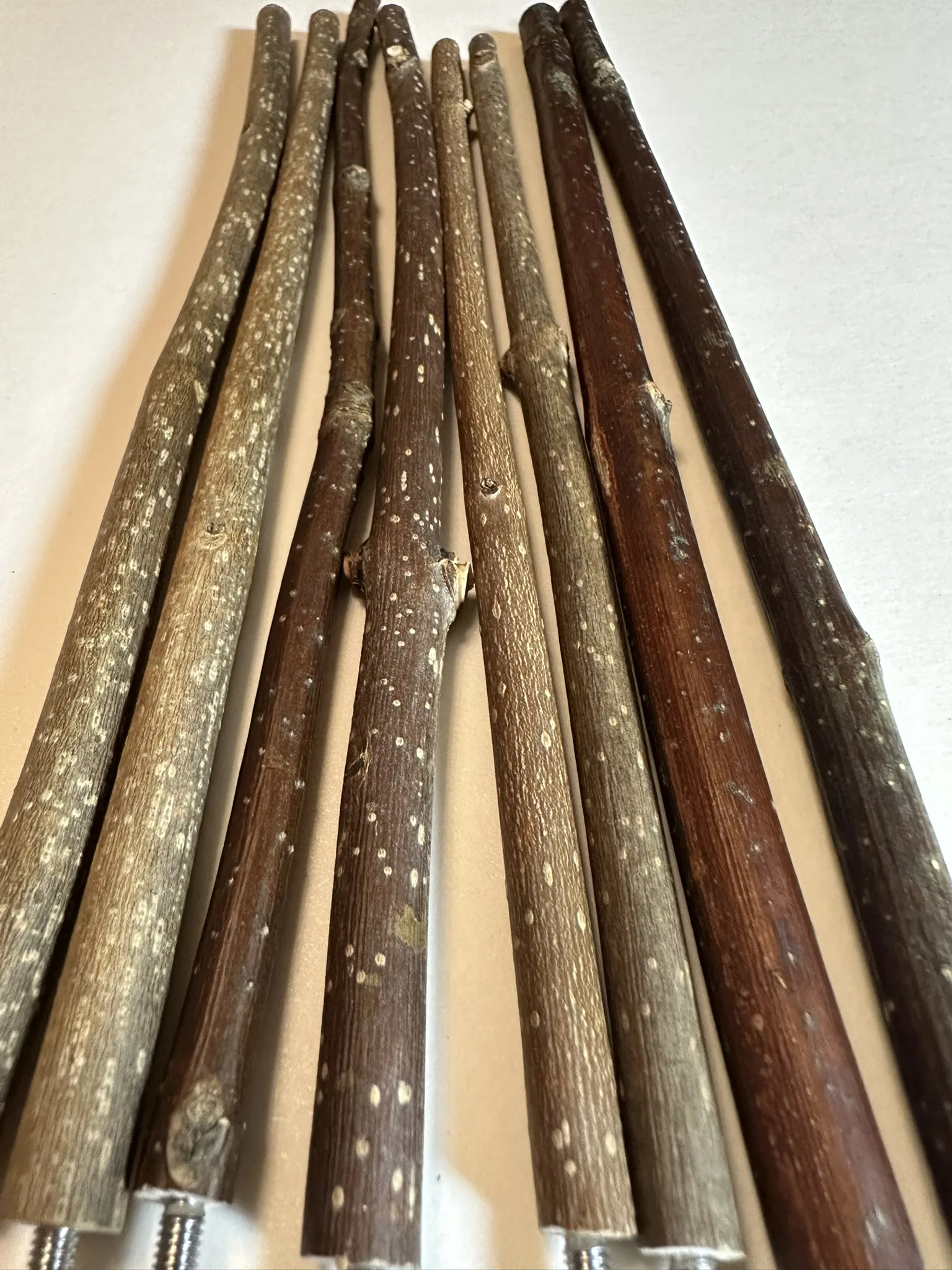 ヨーロピアンアッシュ製の極細タイプ止まり木。フィンチや小型インコに最適なBirdARCADIA公式天然木パーチ。