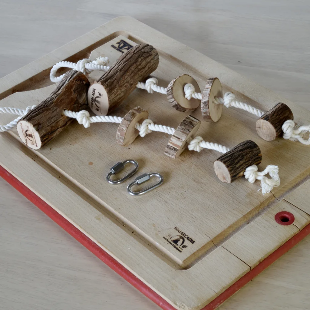 Dragonwood Enrichment Hanger