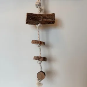 Dragonwood Enrichment Hanger