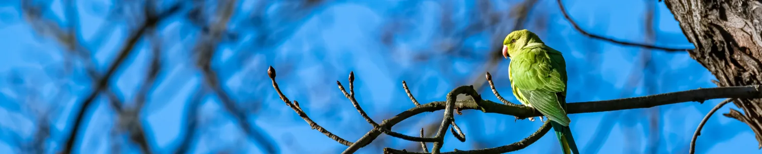 cropped iStock 1369616158 webp