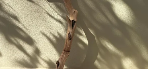 438065 20251223183700 3