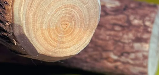 名称未設定のデザイン (2)