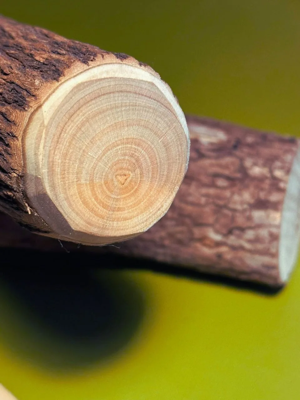 名称未設定のデザイン (2)