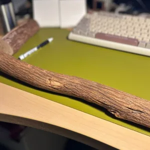 天然木ドラゴンウッド樹皮付き止まり木Lサイズロング　蝶ナット片側固定式