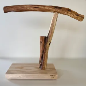 BirdARCADIA公式バードスタンド