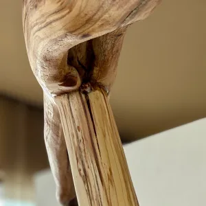 manzanita 5 manzanita 5