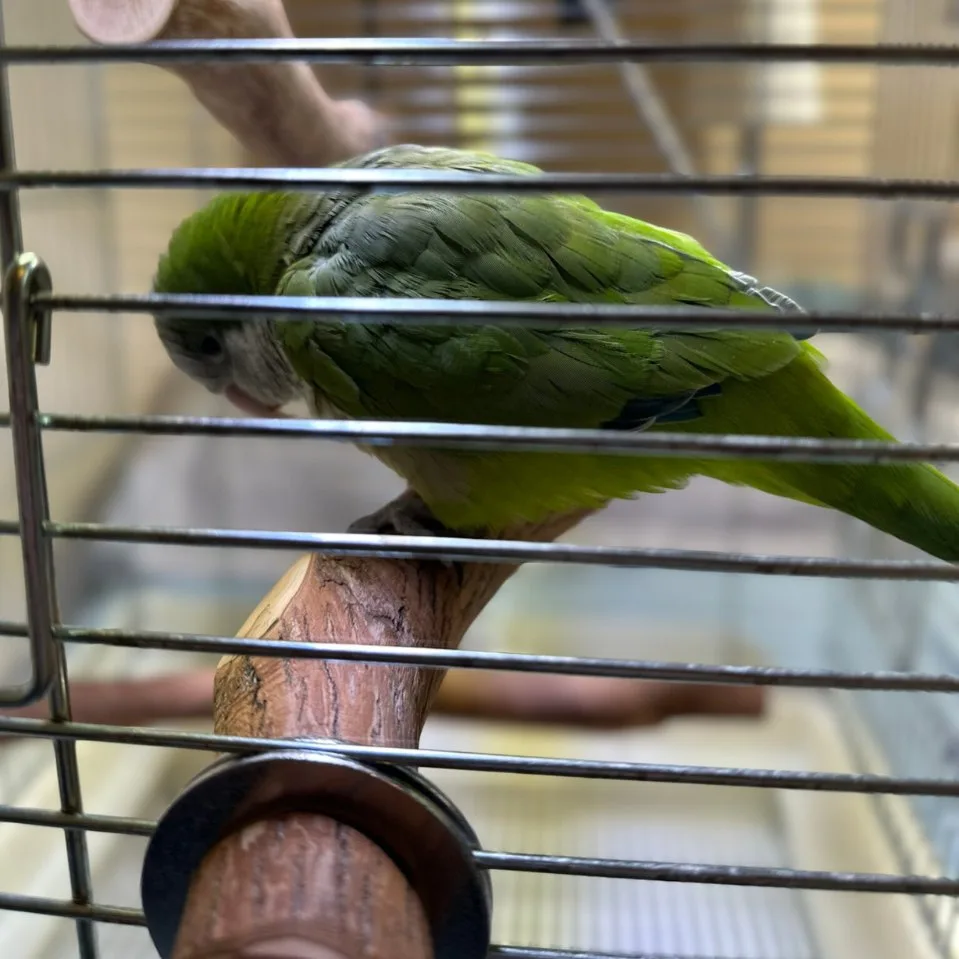 名称未設定のデザイン (6)