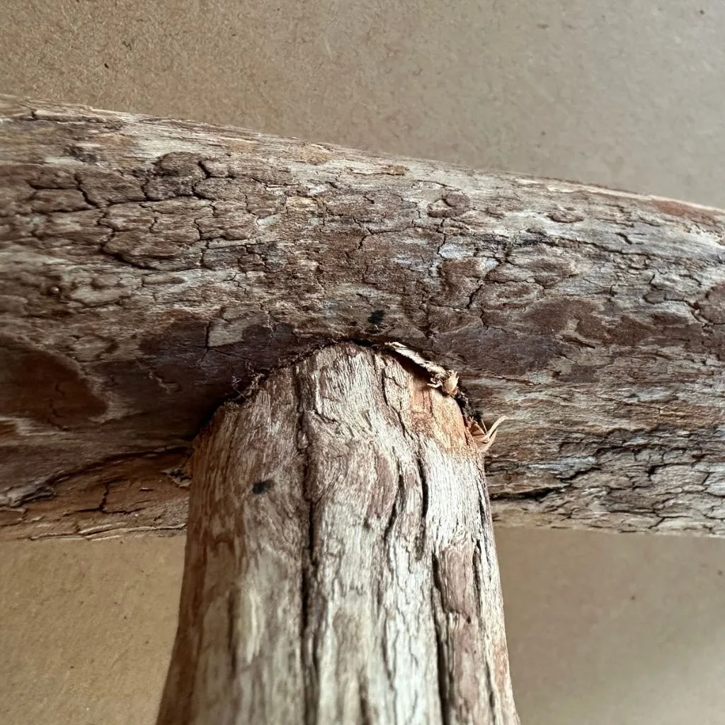 テーブルトップ用 天然木バードスタンド ドラゴンウッド ホワイトアッシュ