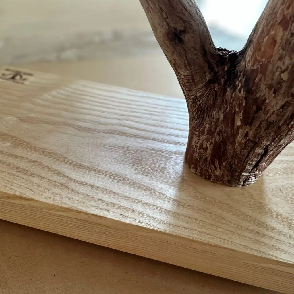 テーブルトップ用 天然木バードスタンド ドラゴンウッド ホワイトアッシュ