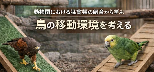鳥の移動環境を考える