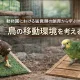 鳥の移動環境を考える