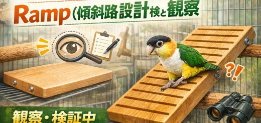 Ramp 2