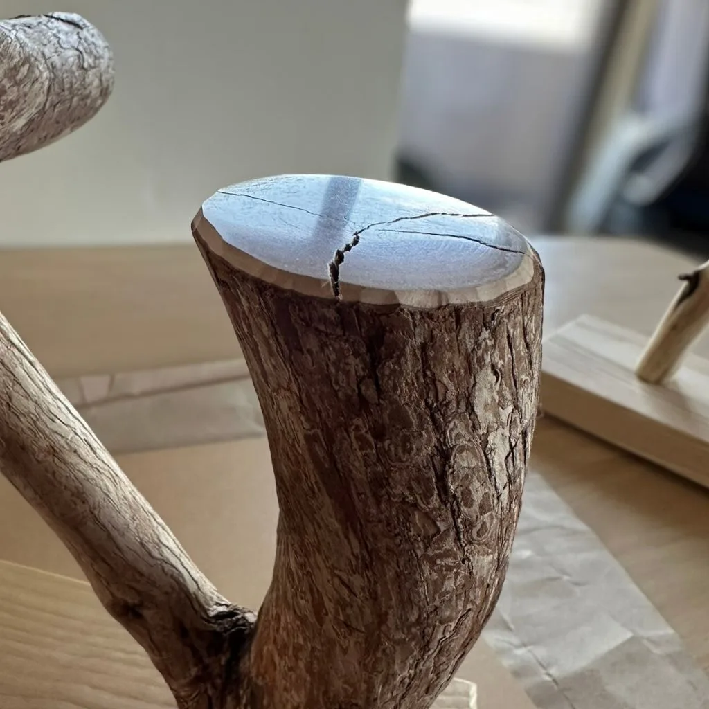 テーブルトップ用 天然木バードスタンド ドラゴンウッド ホワイトアッシュ