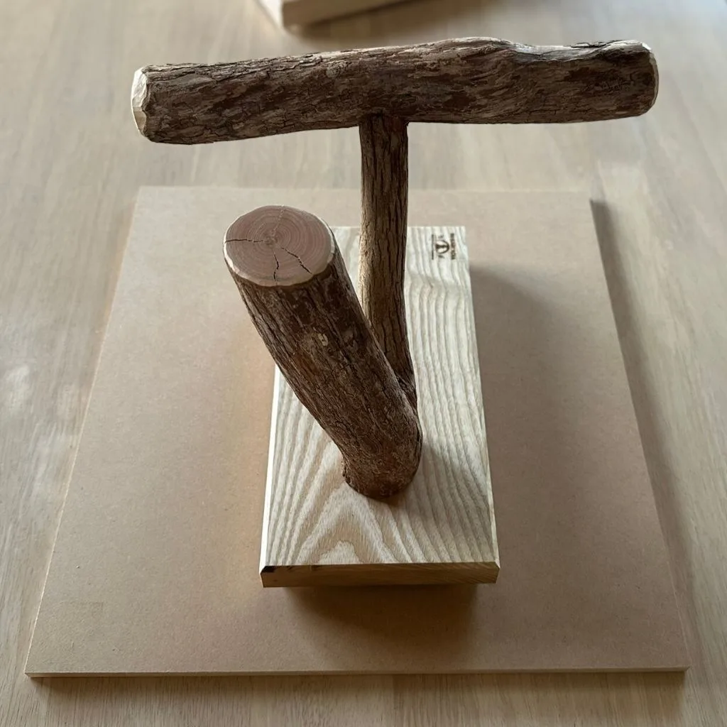 テーブルトップ用 天然木バードスタンド ドラゴンウッド ホワイトアッシュ