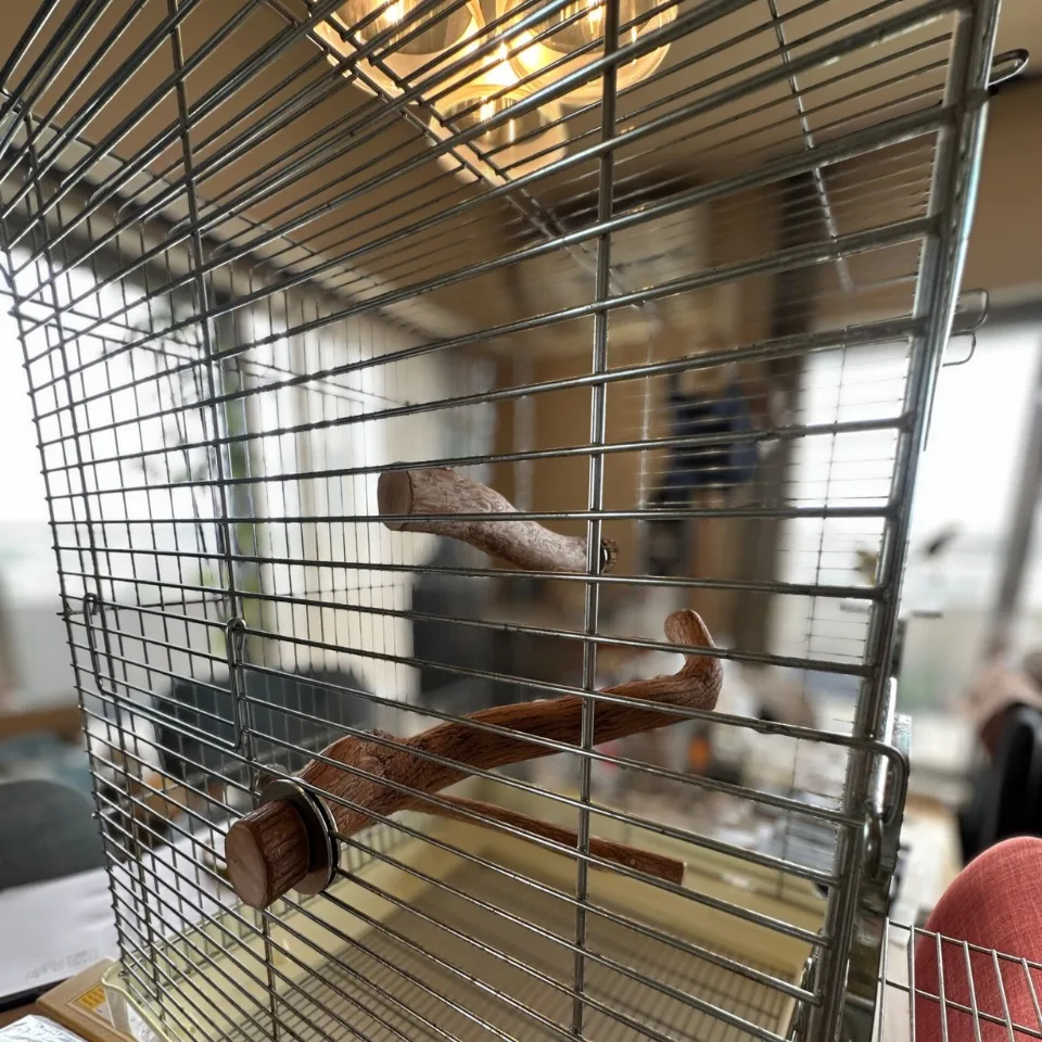 名称未設定のデザイン (5)