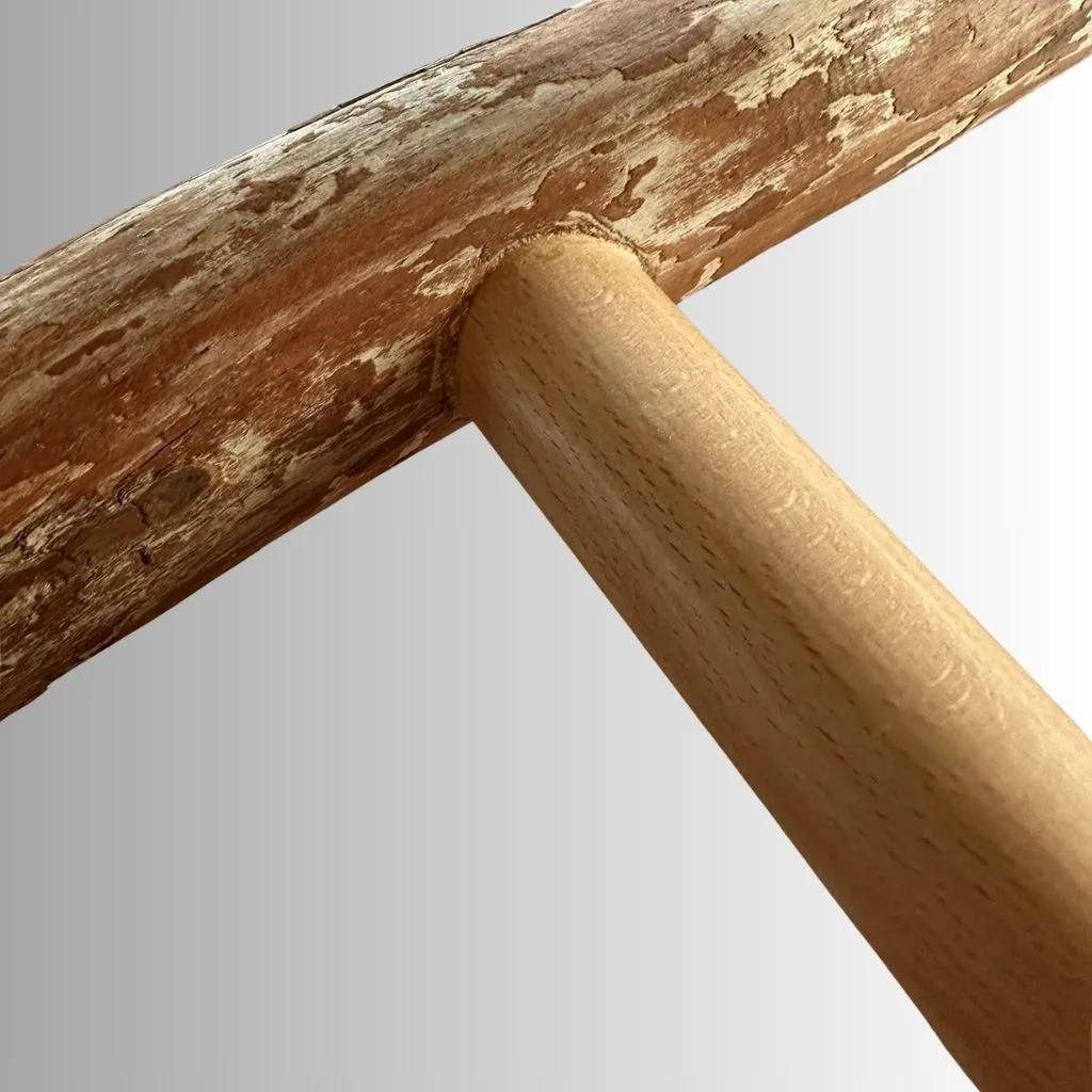 StationCue T-Perch™ ハンドグリップ型ドラゴンウッドパーチ(アビアリートレーニング用)