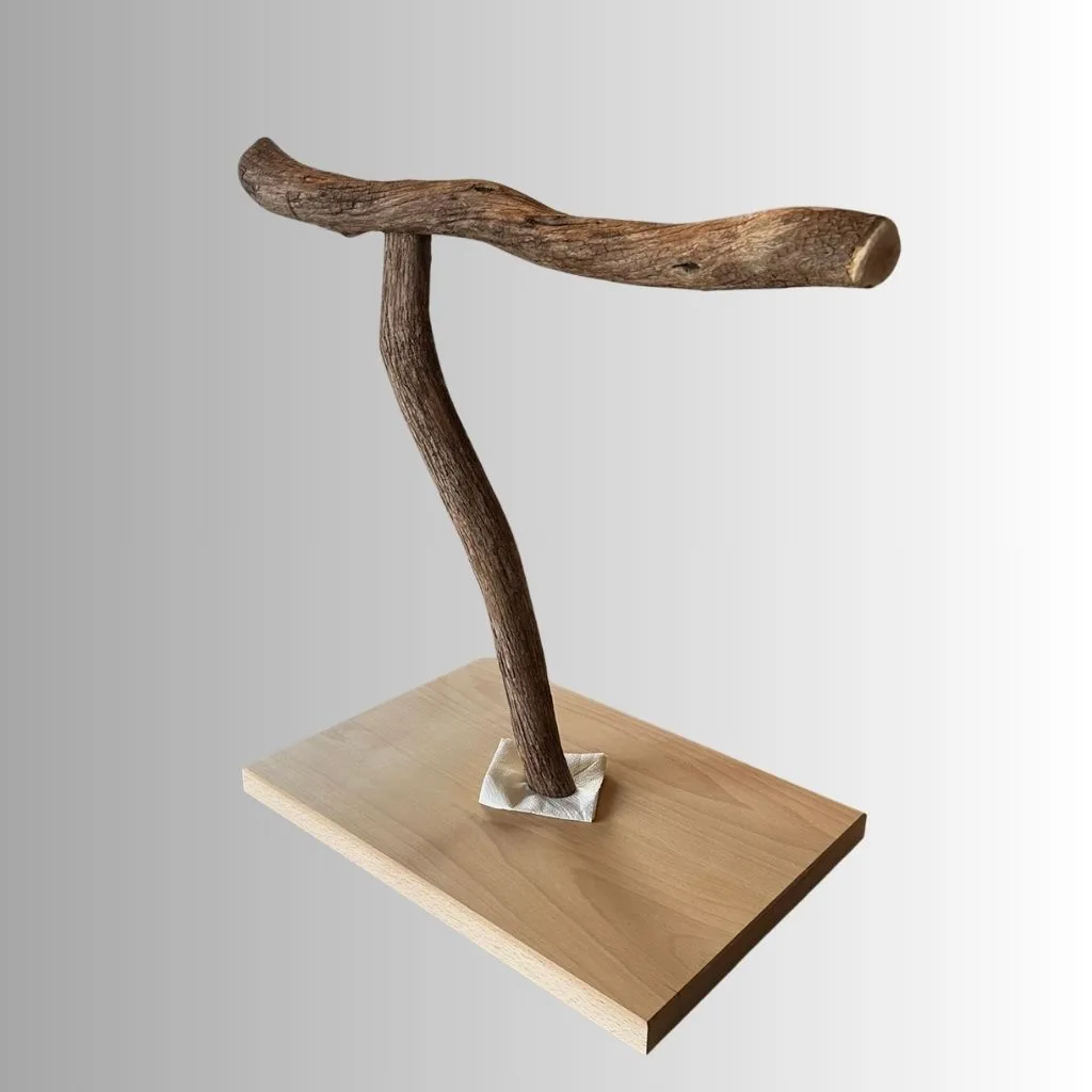 テーブルトップ用 天然木バードスタンド ドラゴンウッド ヨーロピアンビーチ