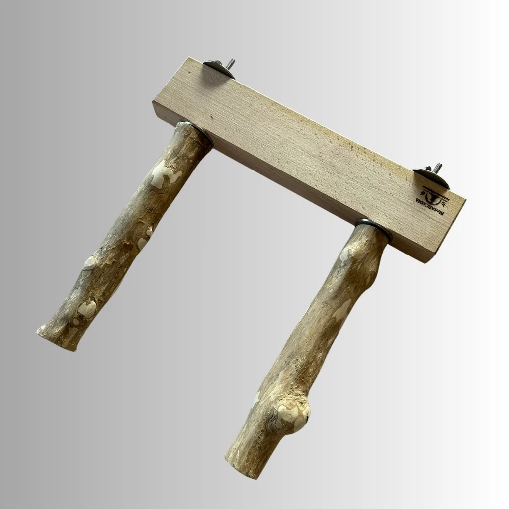 インコ・オウム用 木製Rランプ(傾斜路)ヨーロピアンブナ製|BirdARCADIA