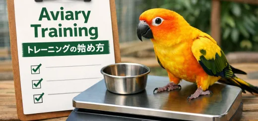 Aviary training start