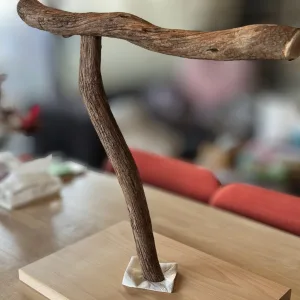 テーブルトップ用 天然木バードスタンド ドラゴンウッド ヨーロピアンビーチ